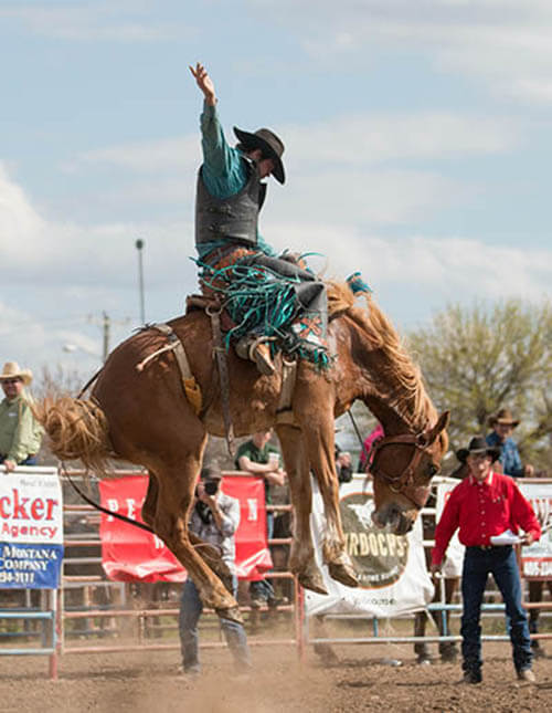 Kingwood rodeo limo service and party bus rental services